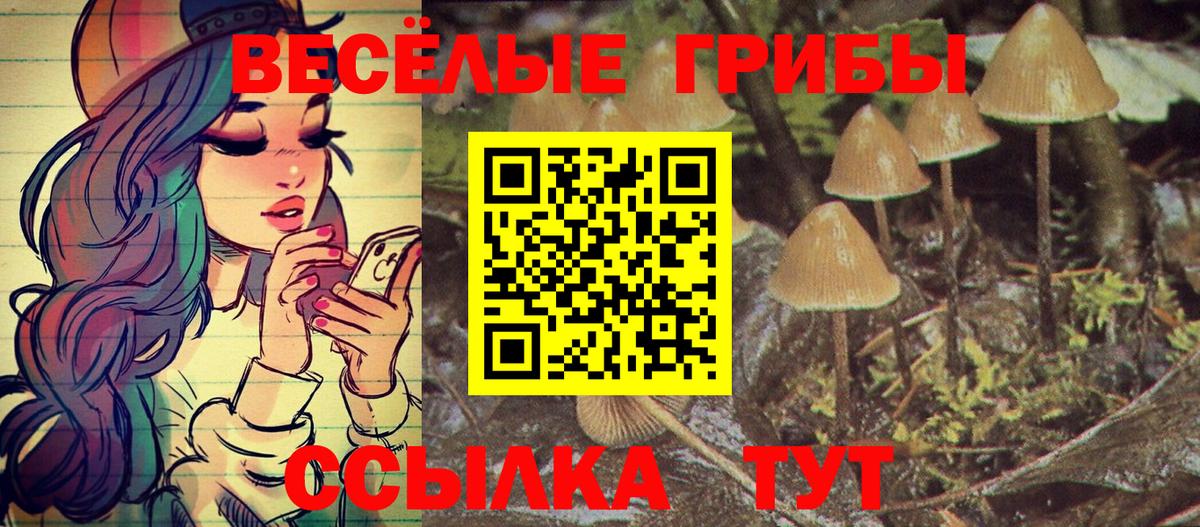 Дюртюли  Галлюциногенные грибы мухоморы  Вход с VPN  Псилоцибиновые грибы Magic Shrooms 